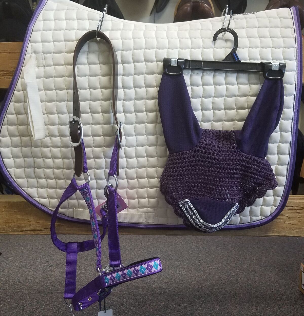 Everything for the Horse